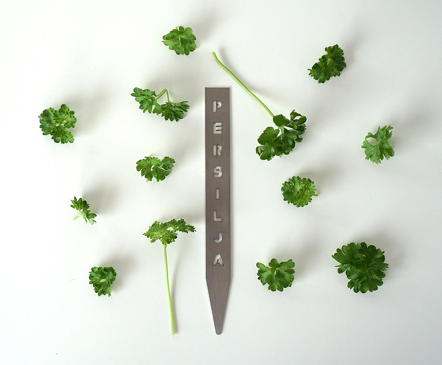 Born in Sweden Chili Marqueur pour Herbes, en acier inoxydable