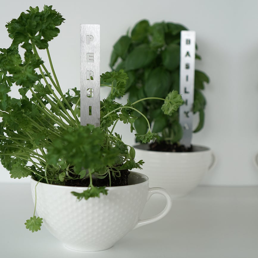 Born in Sweden Chili Marqueur pour Herbes, en acier inoxydable