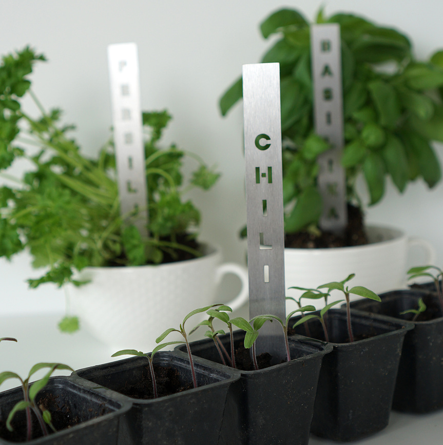 Born in Sweden Chili Marqueur pour Herbes, en acier inoxydable