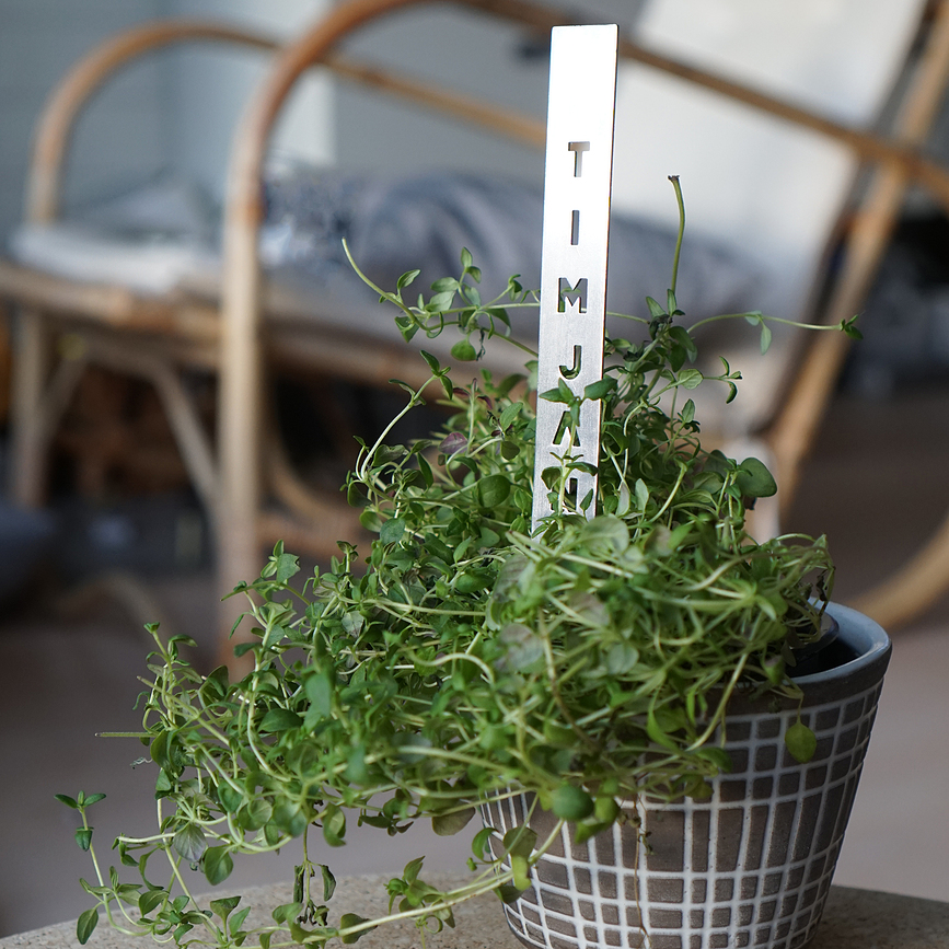 Born in Sweden Chili Marqueur pour Herbes, en acier inoxydable