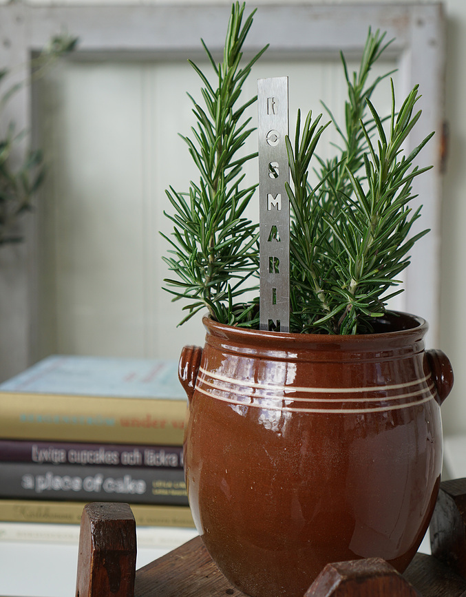 Born in Sweden Chili Marqueur pour Herbes, en acier inoxydable