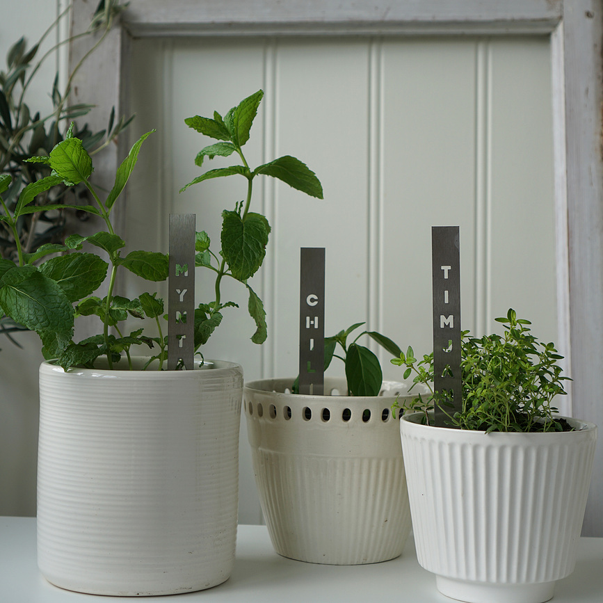 Born in Sweden Chili Marqueur pour Herbes, en acier inoxydable