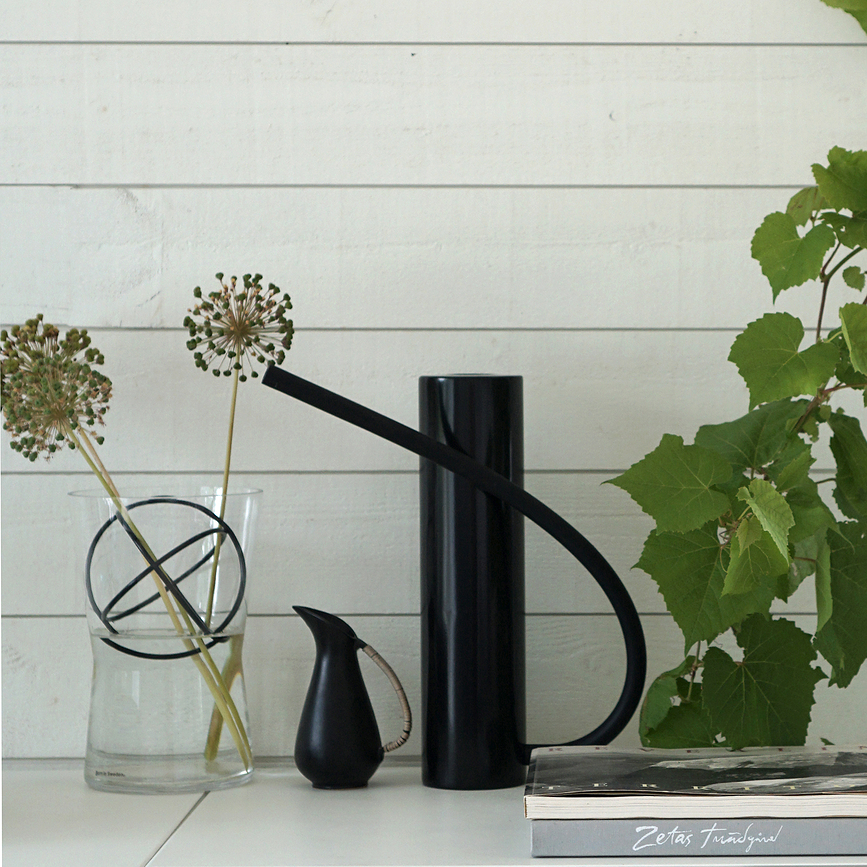 Born in Sweden Zalivalka, matirano jeklo