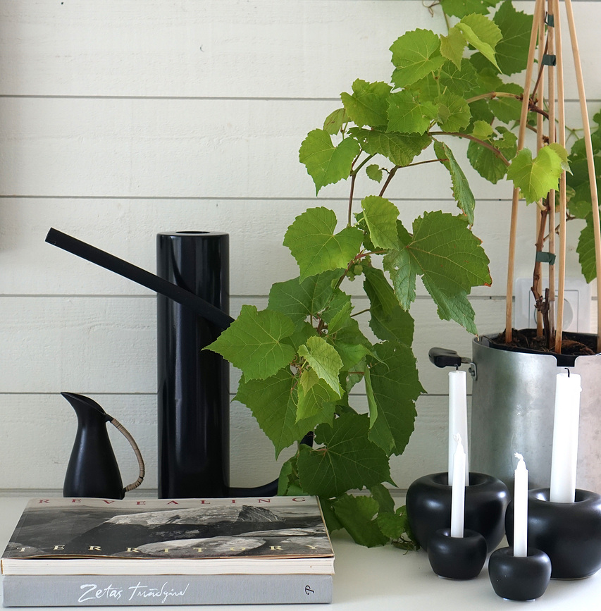 Born in Sweden Zalivalka, matirano jeklo