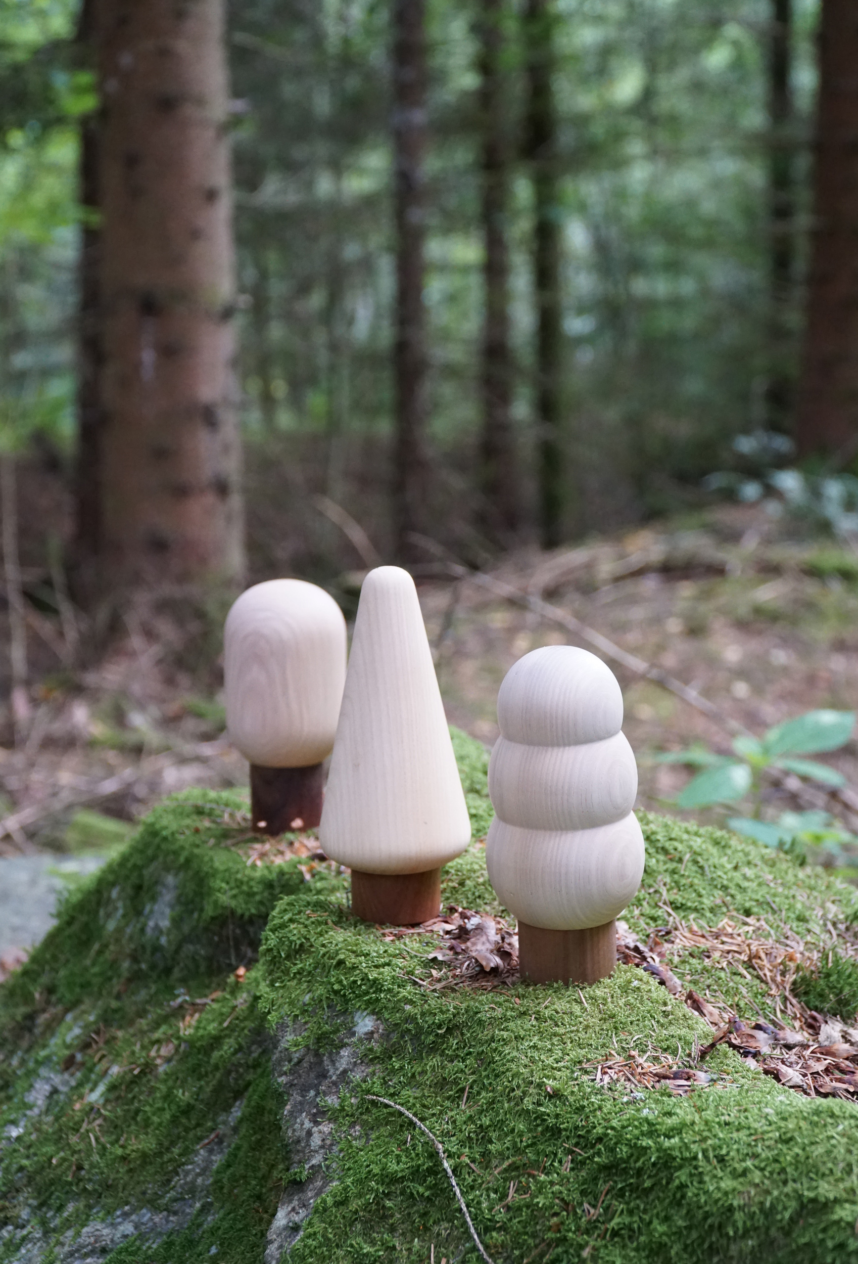 https://3fa-media.com/born-in-sweden/born-in-sweden-into-the-woods-salt-and-pepper-mills-with-a-tray-4-el__141913_5b0f3f5-s2500x2500.jpg