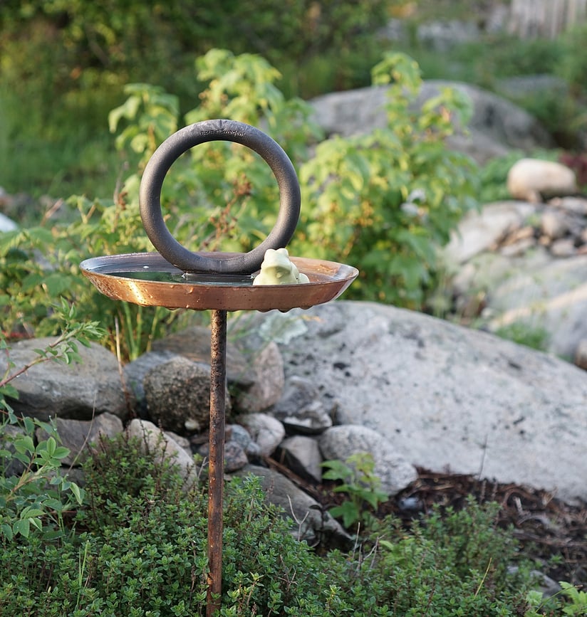 Round Up Abreuvoir pour Oiseaux, noir