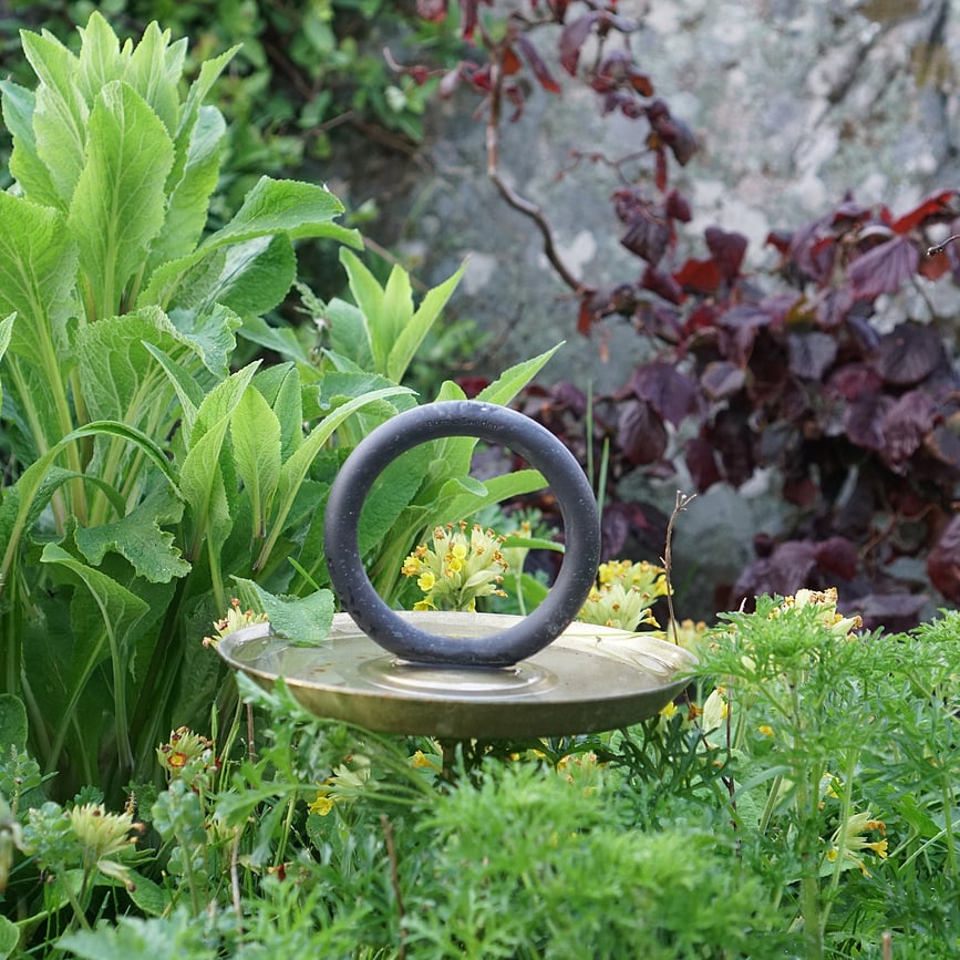 Round Up Abreuvoir pour Oiseaux, noir