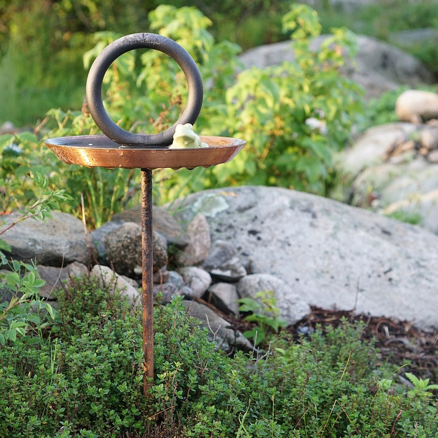 Round Up Pojilica za ptice crna