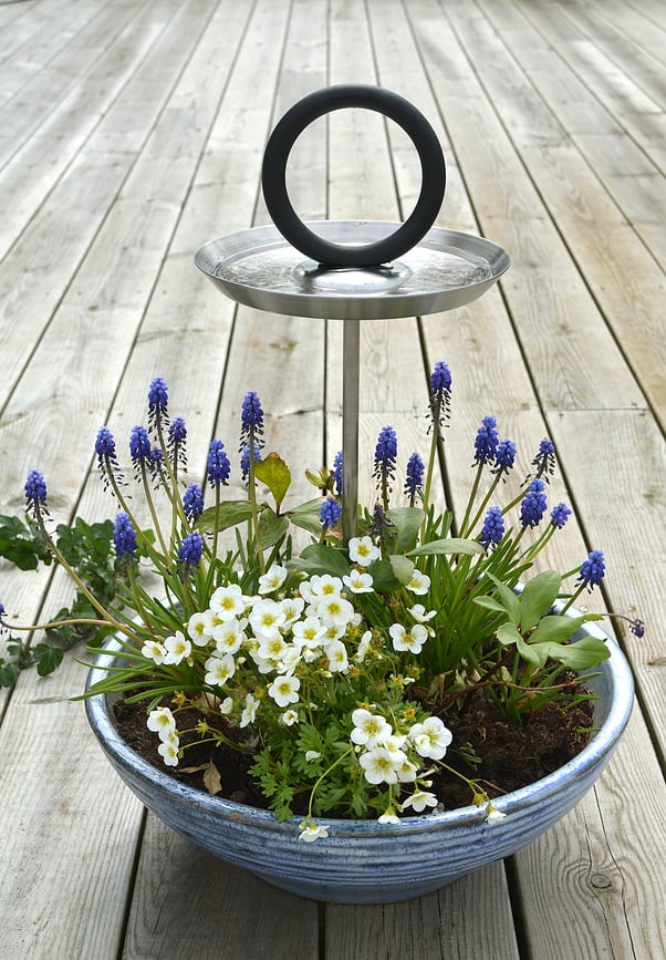 Round Up Pojilica za ptice crna