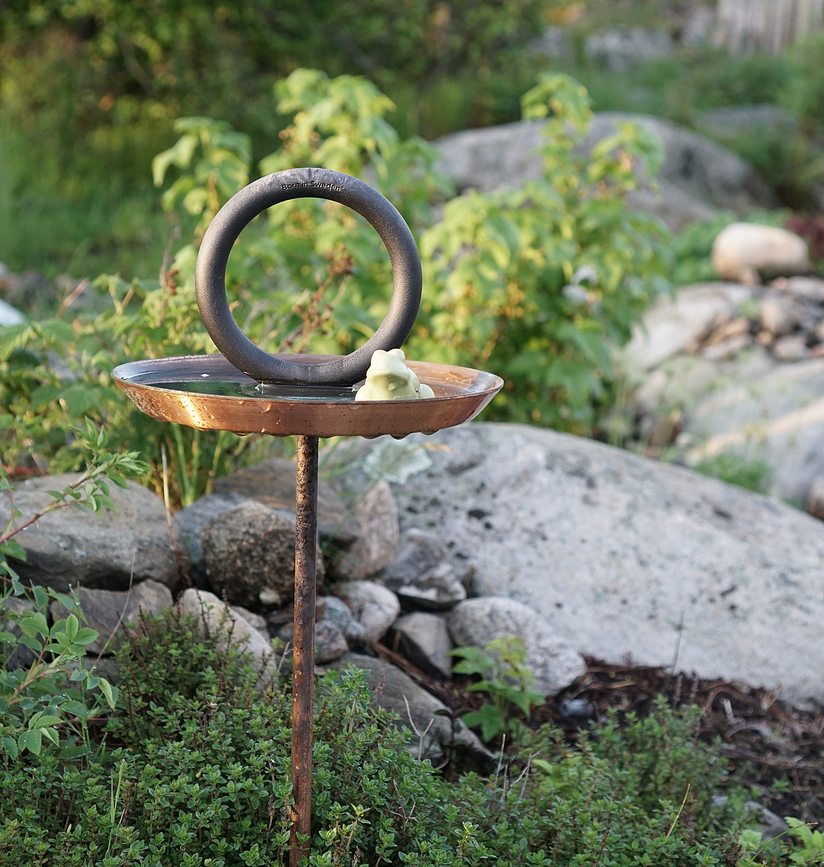 Round Up Ποτίστρα Πουλιών, μαύρη