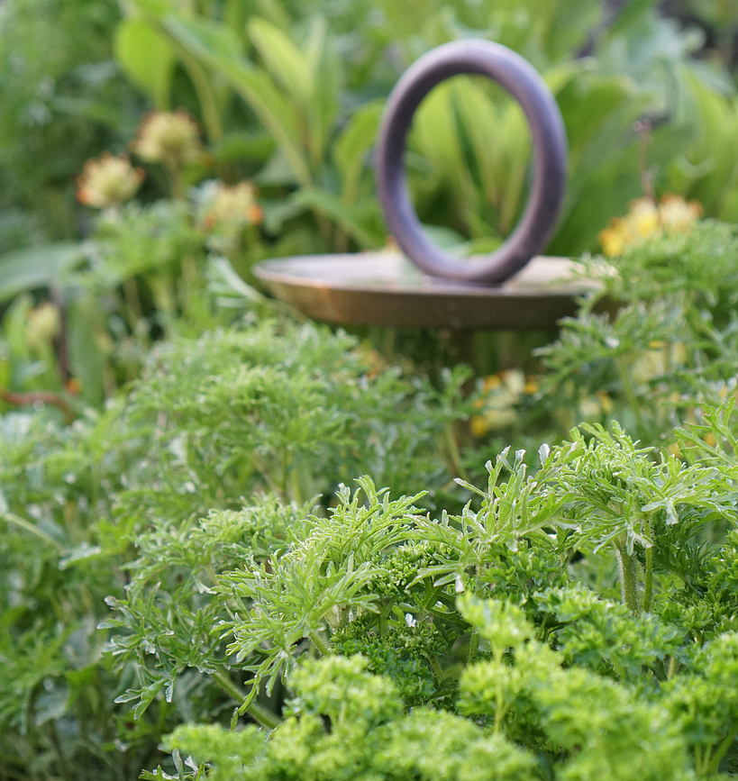 Round Up Ποτίστρα Πουλιών, μαύρη