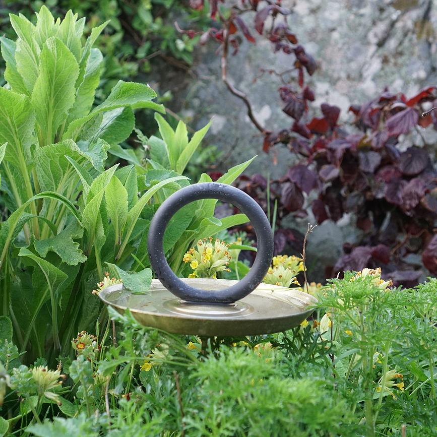 Round Up Ποτίστρα Πουλιών, μαύρη