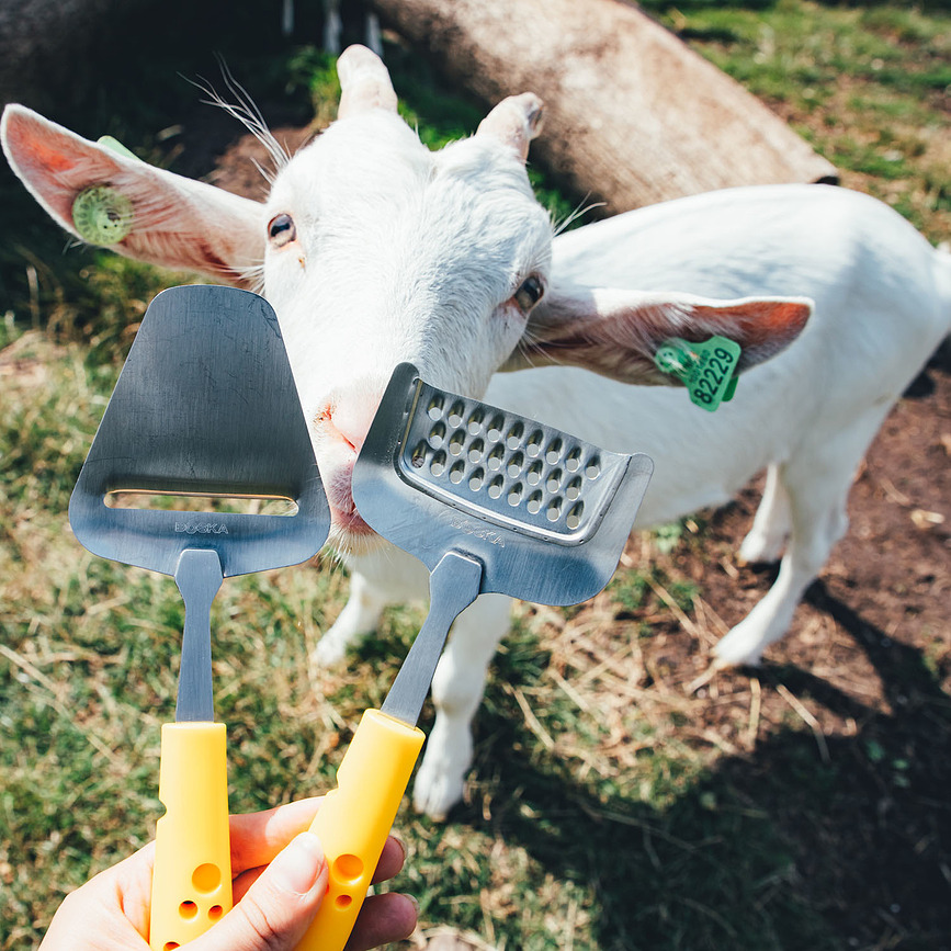 Cheesy Lopatica za sir