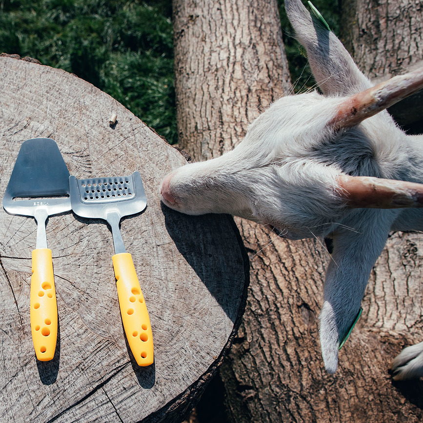 Cuchillo y Espátula para queso Cheesy