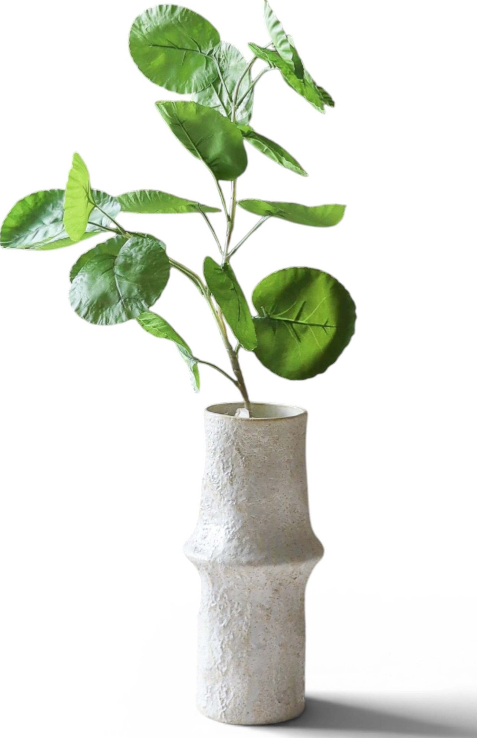 Botane Aralie Kunstzweig 29 cm, grün