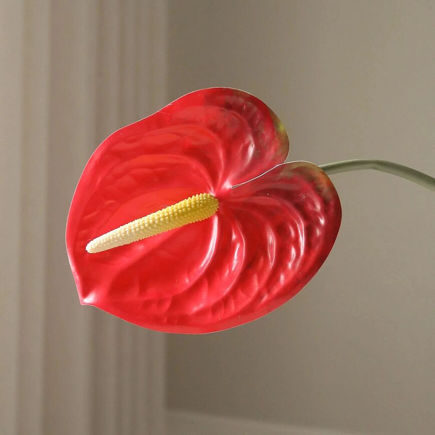 Botane Fleur artificielle anthurium, 67 cm, vert clair