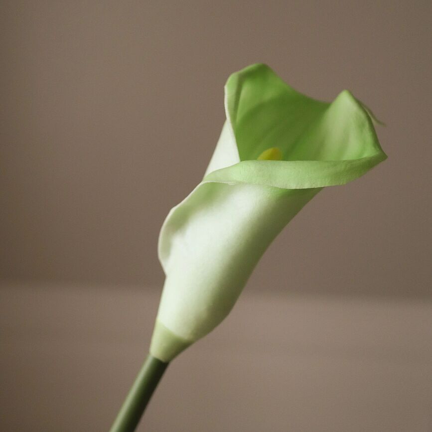 Botane Fleur Artificielle Lis, 67 cm, vert clair