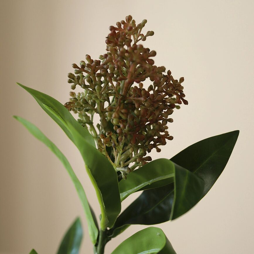 Botane Fleur artificielle Skimmia, 73 cm, verte