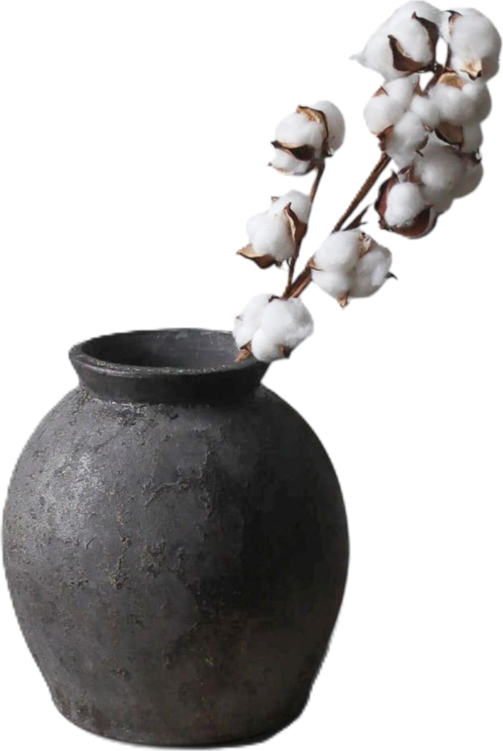 Botane Kunstblume getrocknet 53 cm, weiß, Baumwolle