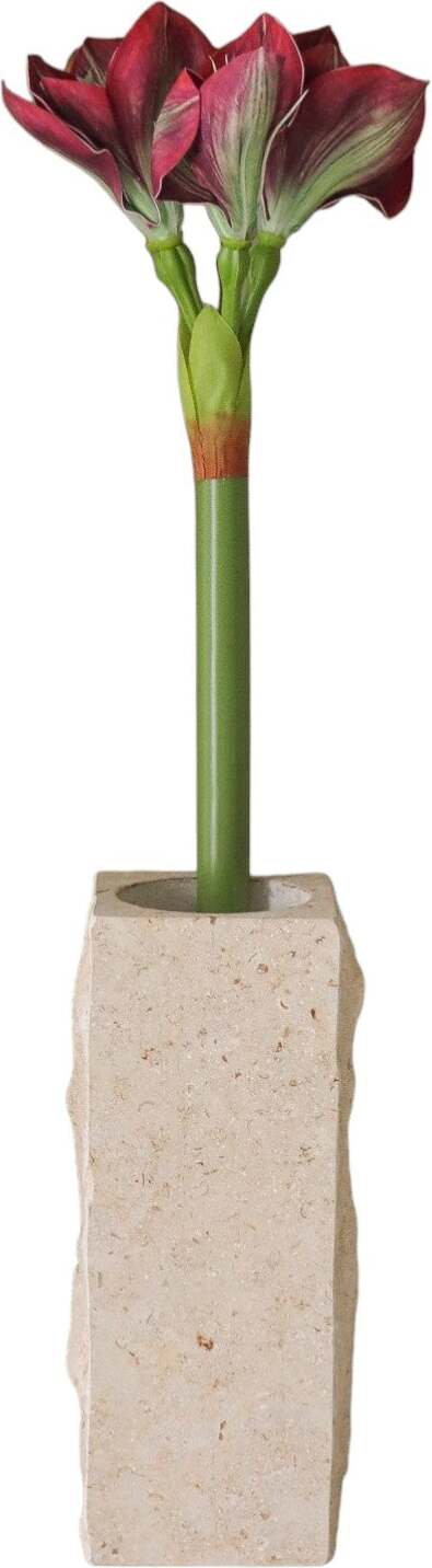 Botane Künstliche Amaryllis 73 cm, bordeauxrot