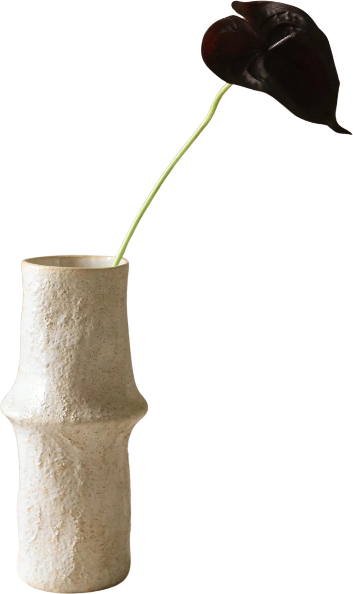 Botane Künstliche Anthurie 65 cm, schwarz