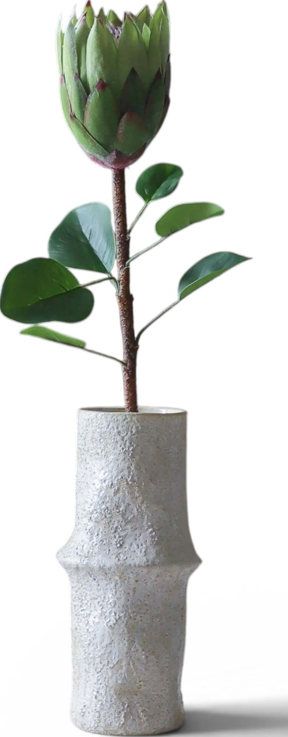 Botane Künstliche Blume Protea 70 cm, grün