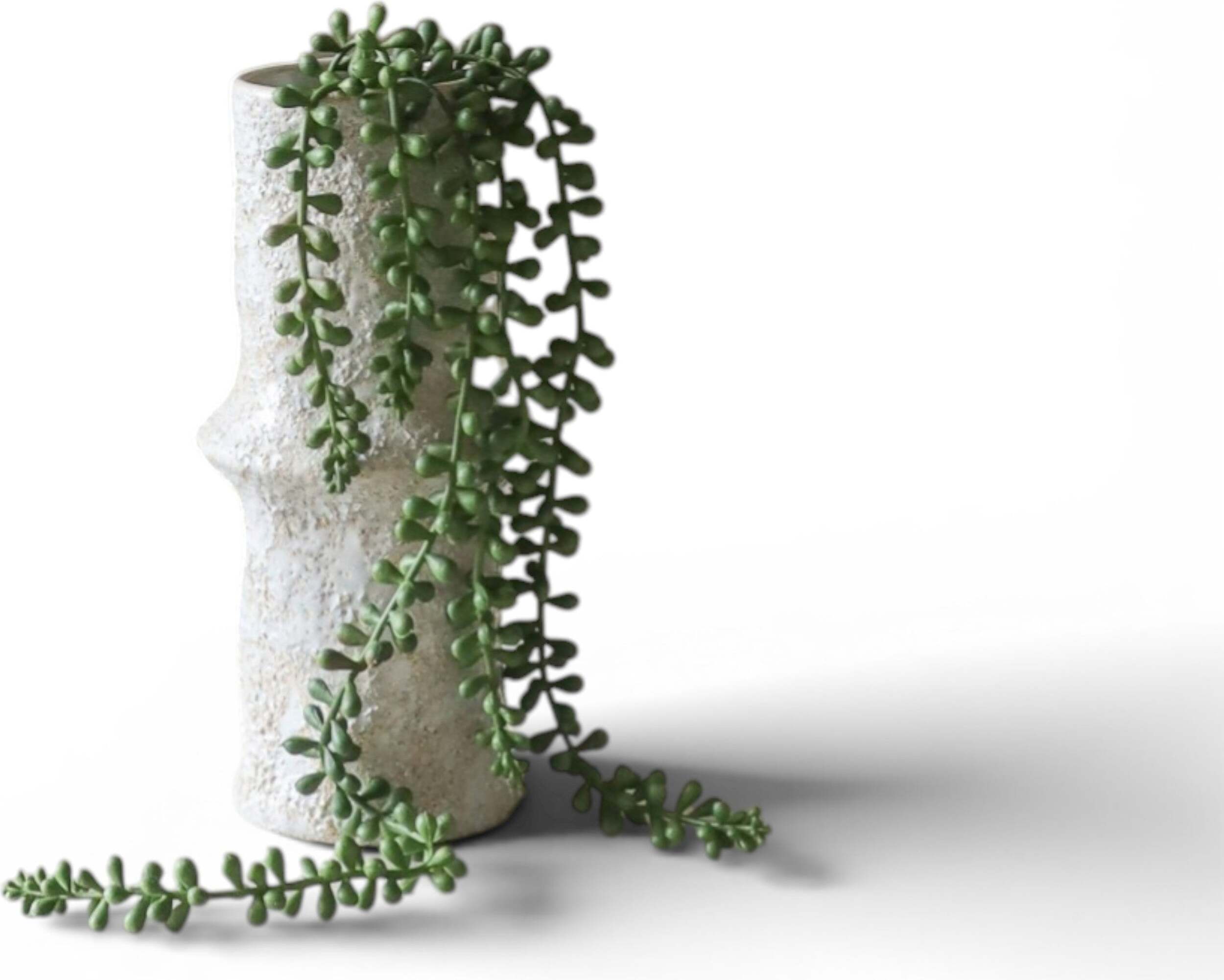 Botane Künstliche Pflanze Sukkulente 60 cm, grün
