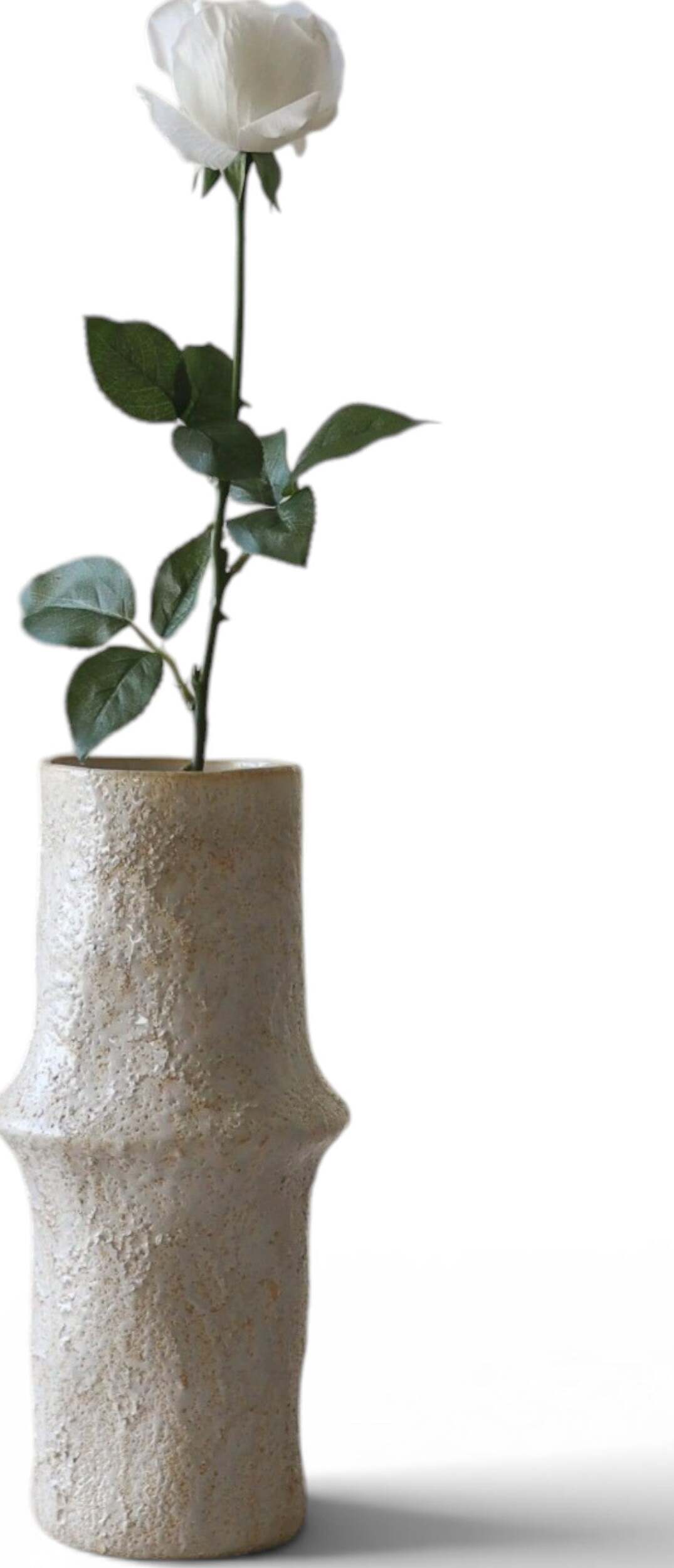 Botane Künstliche Rose 65 cm auf langem Stiel, weiß