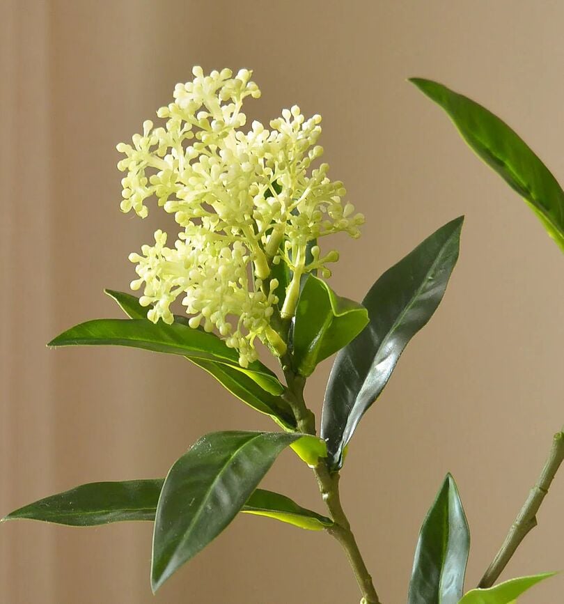 Botane Τεχνητό Λουλούδι σκίμμια, 73 εκ., πράσινο