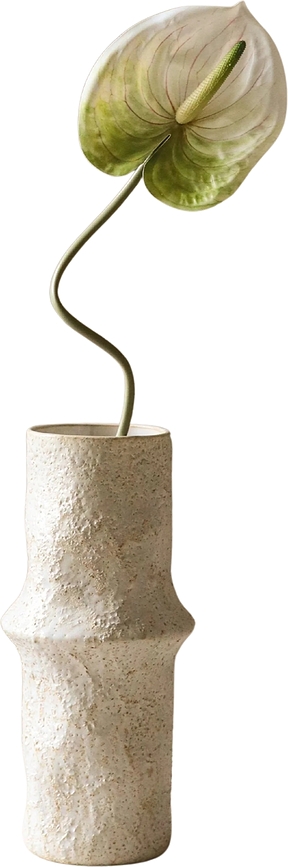 Botane Umetna roža anturij, 67 cm