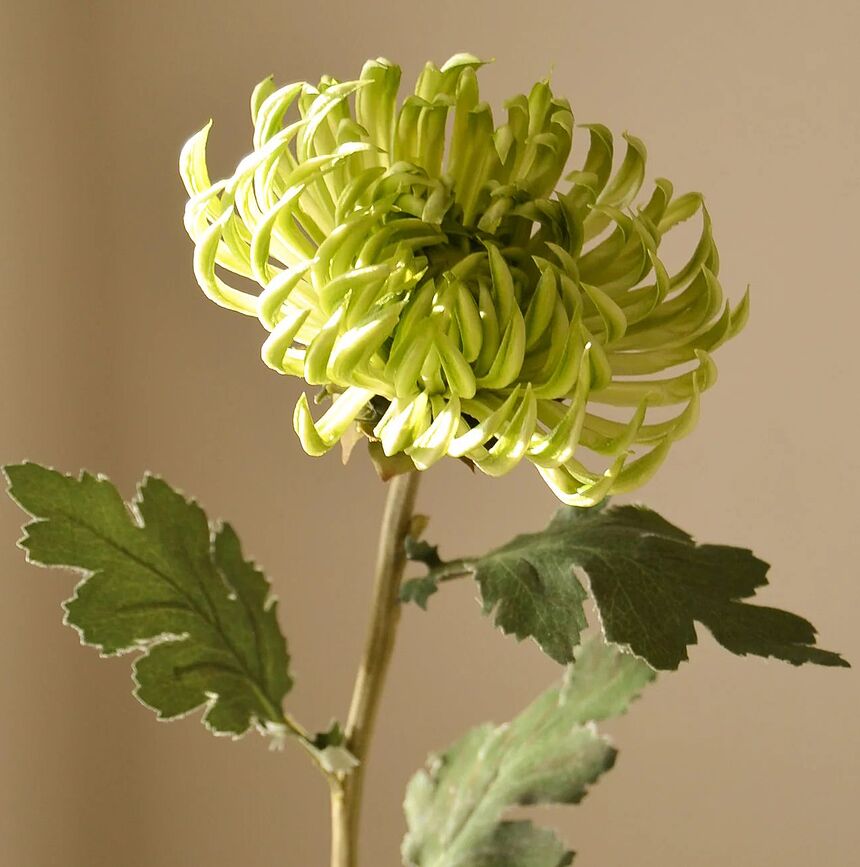 Botane Umetni cvet dalija, 58 cm, oranžen