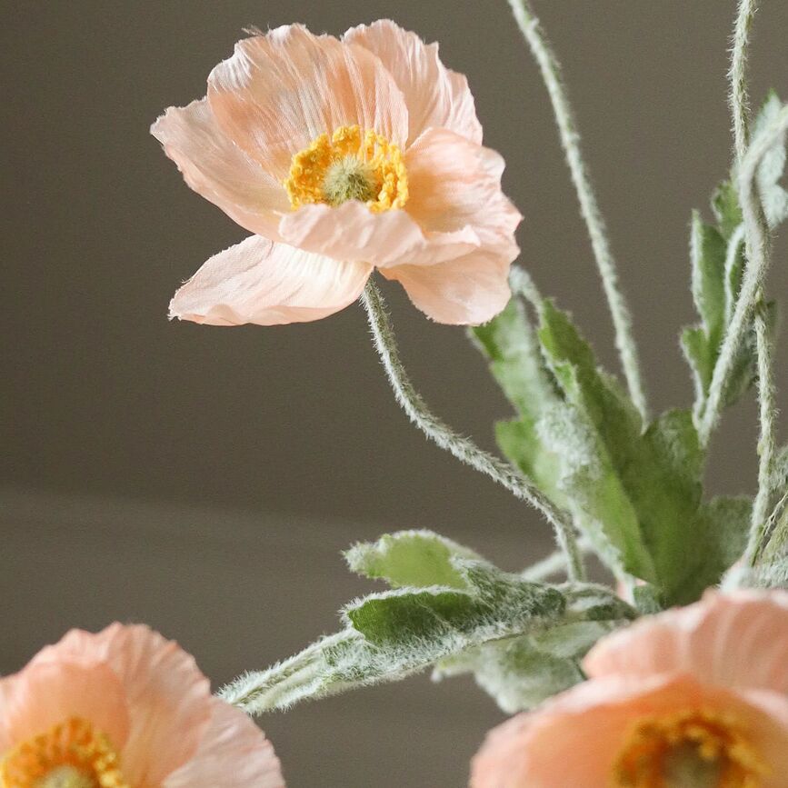 Botane Cvijet umjetni mak 56 cm koraljni