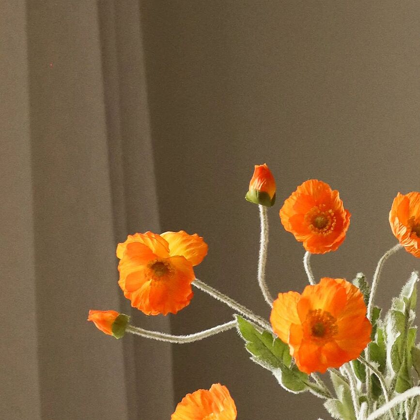 Botane Cvijet umjetni mak 56 cm koraljni