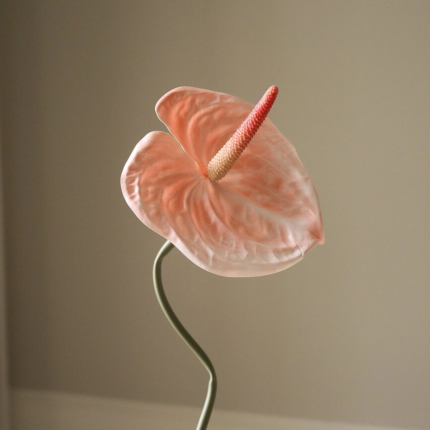 Fiore artificiale Botane anthurium 67 cm, verde chiaro