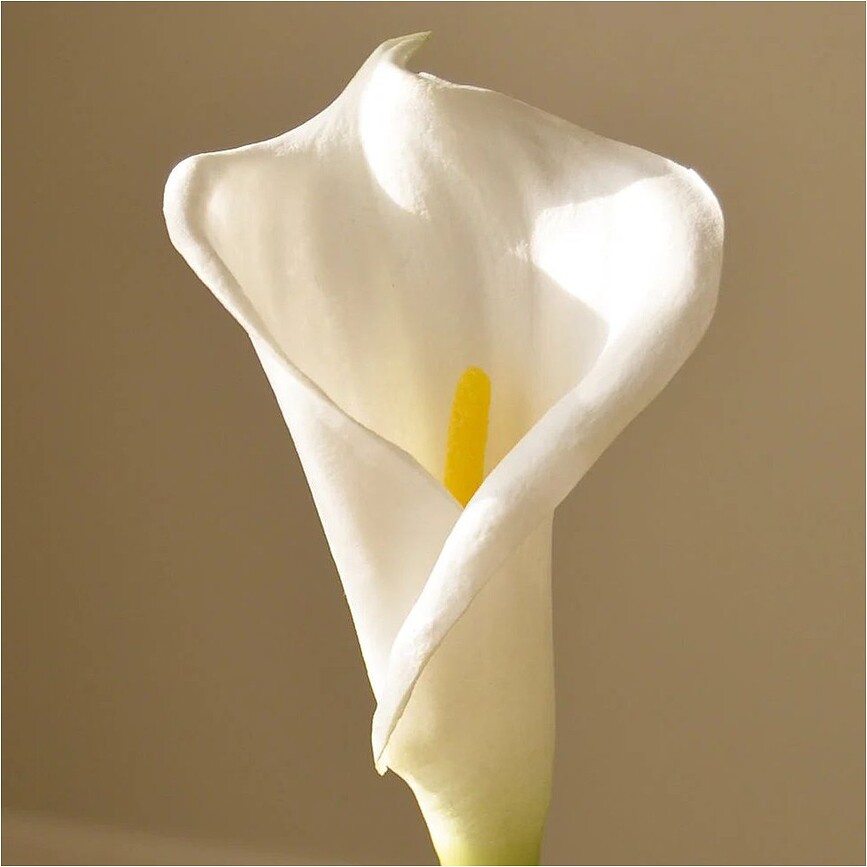 Flor Artificial Lirio Botane, 65 cm, blanca