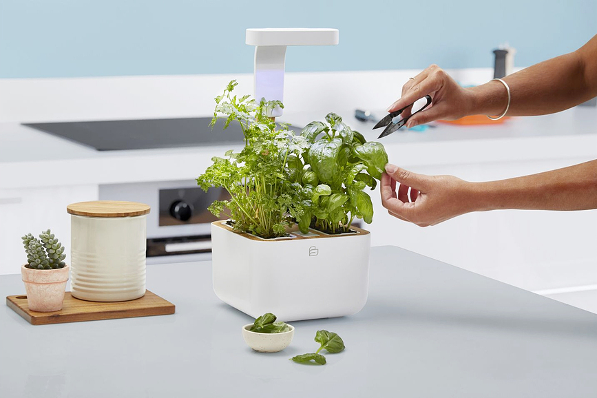 Botaneo Eylo Cvetlični lonec