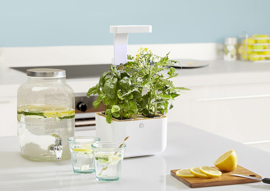 Botaneo Eylo Pot de Fleurs