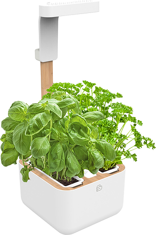 VERITABLE SMART Indoor Garten Weiß Inkl. 4 Packs | GmbH – Ihr