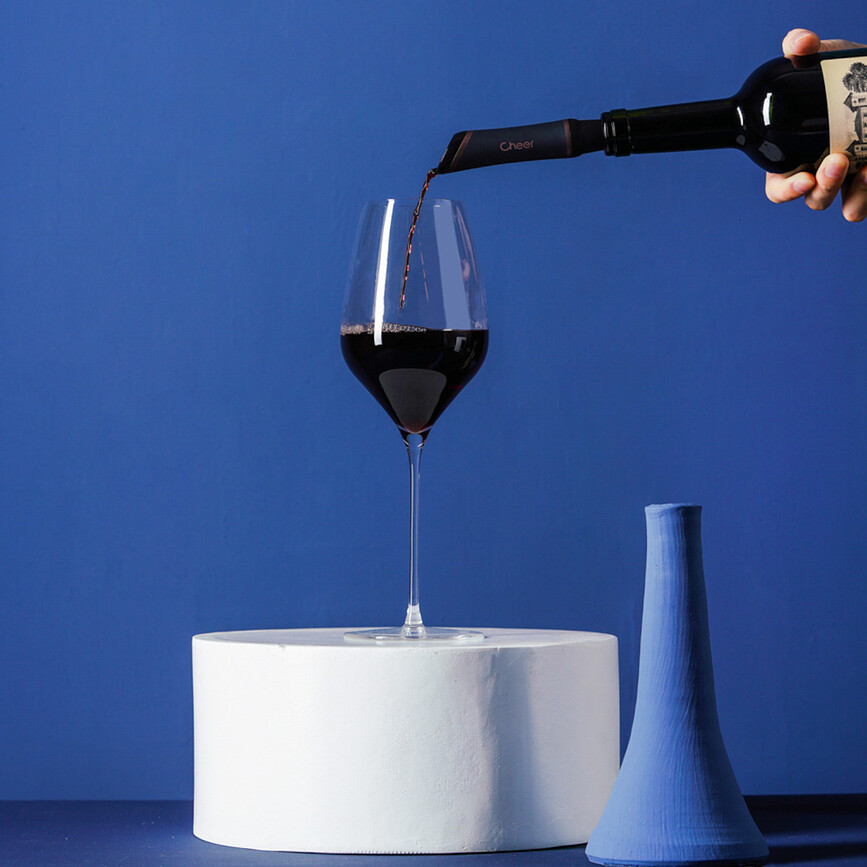 Bouquet Nalivalnik za vino z aeratorjem