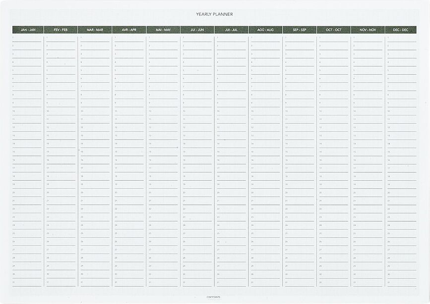 Planificador anual Cinqpoints, formato A3