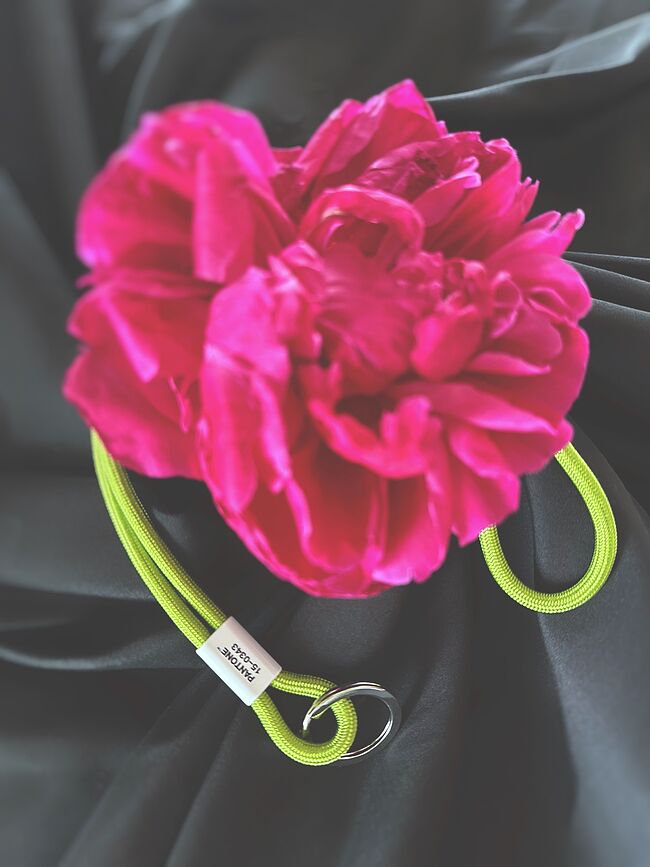 Cordón para llaves Pantone, rosa claro