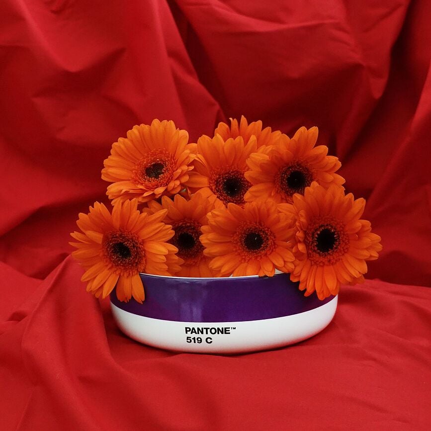 Bol Pantone, 14,5 cm, amarillo