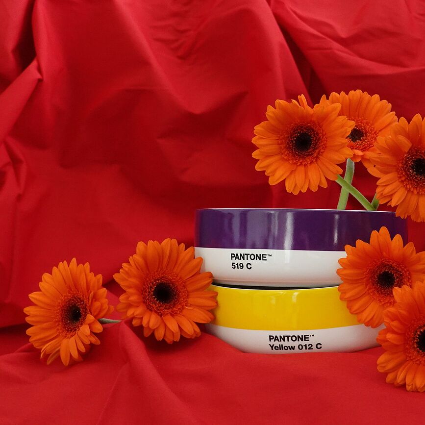 Bol Pantone, 14,5 cm, amarillo