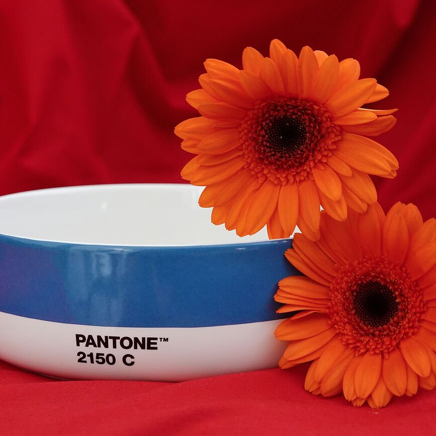 Bol Pantone, 14,5 cm, amarillo