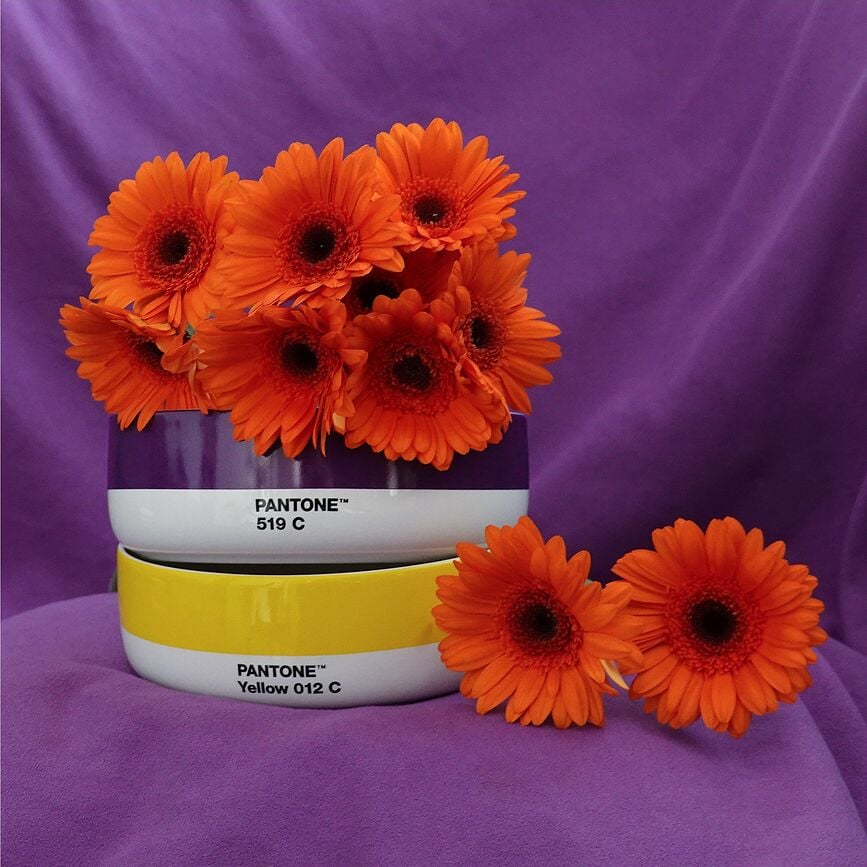 Bol Pantone, 14,5 cm, amarillo