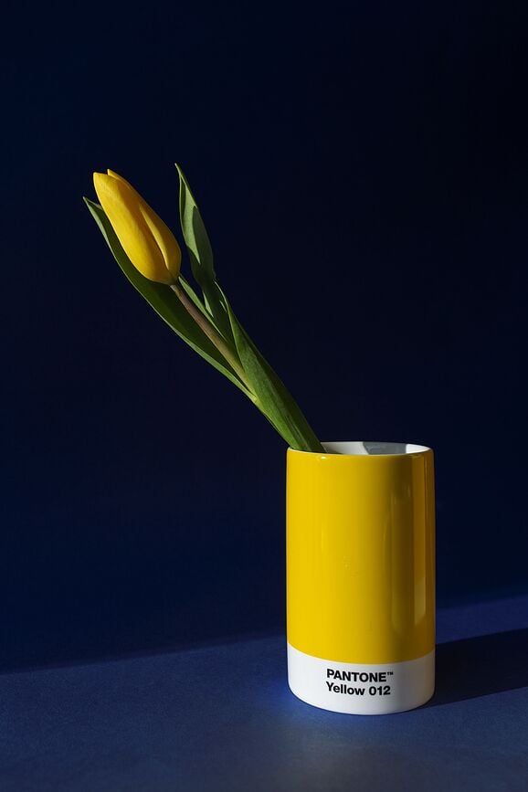 Organizador de escritorio Pantone, amarillo