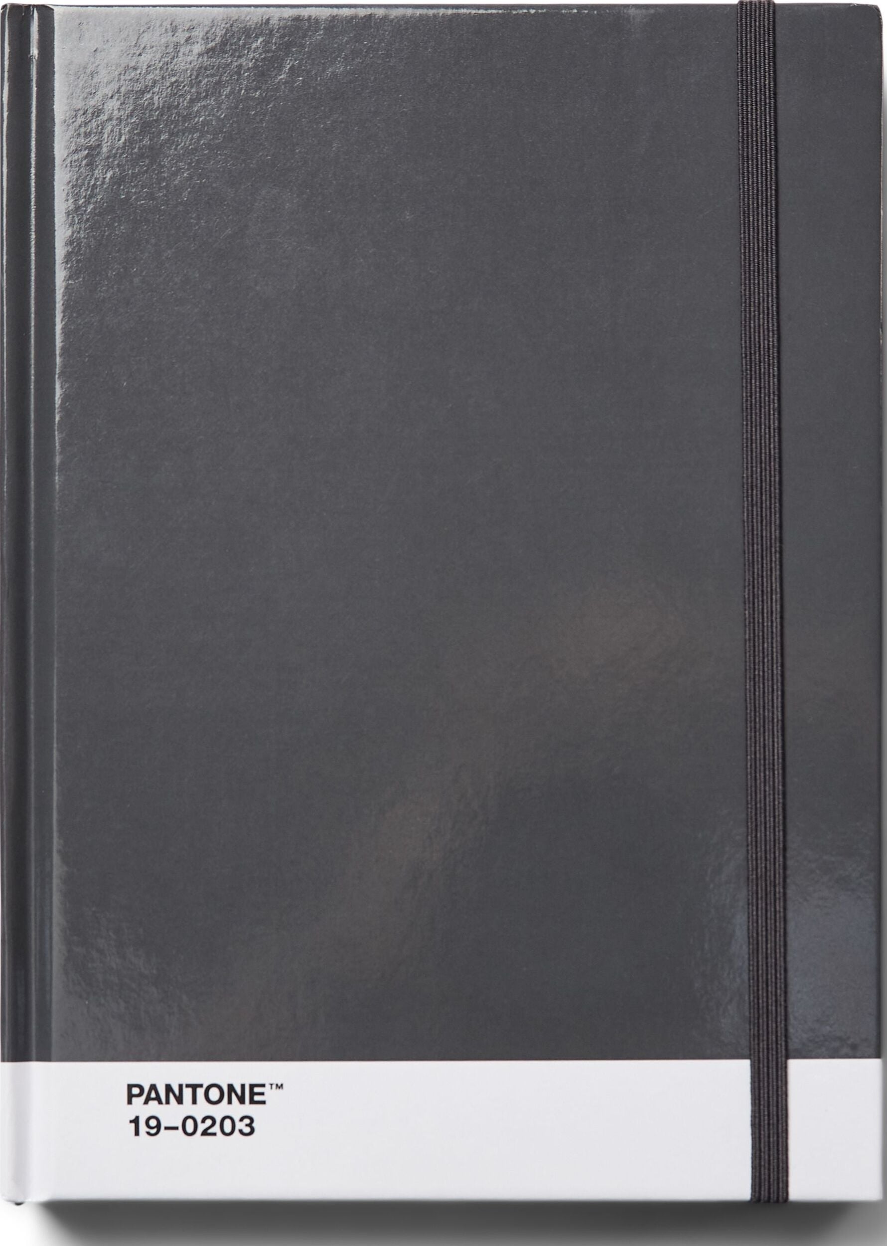Pantone Blanko Notizbuch L grau