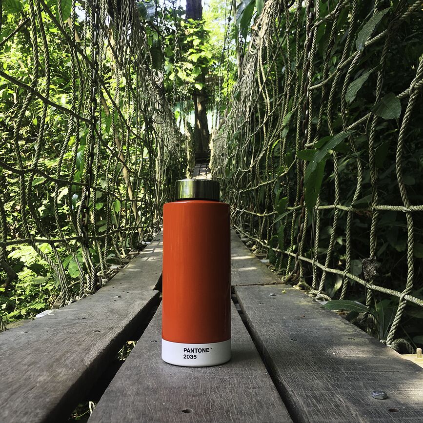 Pantone Bouteille isotherme 530 ml, orange