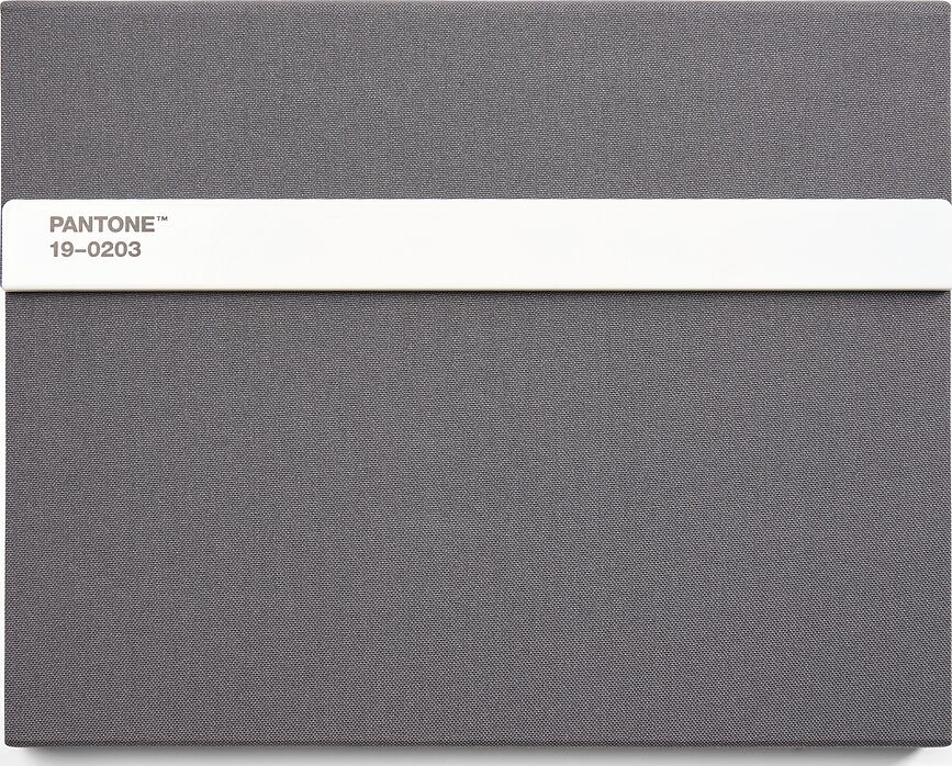 Pantone Carnet avec crayon, Taille L, 160 pages, gris, ligné, 100 g/m²