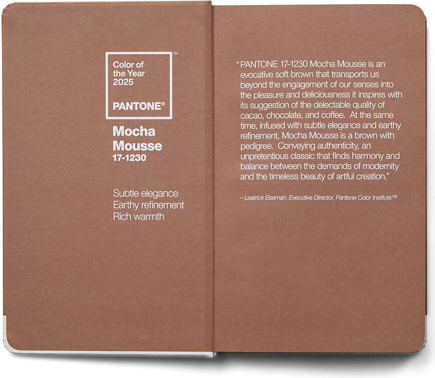 Pantone Carnet ligné, mocha mousse